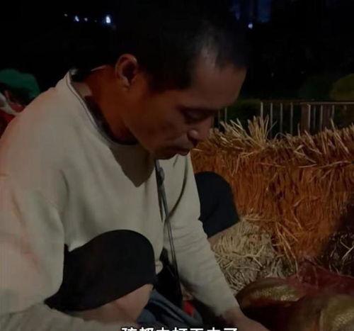 吃瓜帮主网铁锤