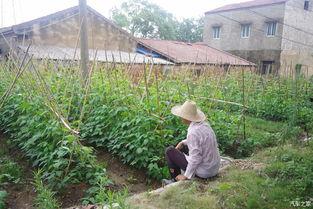 吃瓜忘记轻生,化解轻生危机的温暖力量