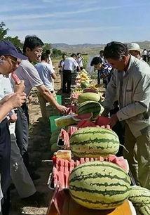 苏州吃瓜事件人物,人物众生相背后的故事