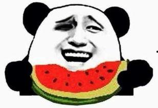 震惊的吃瓜群众,揭秘娱乐圈最新热点事件