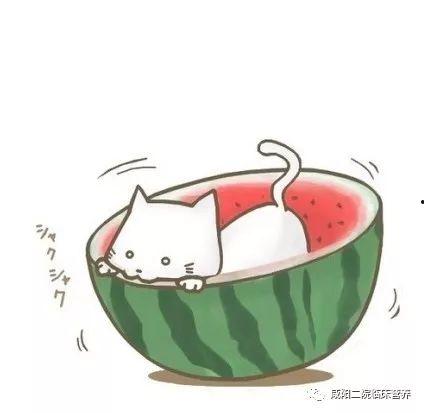 自由吃瓜头像女卡通