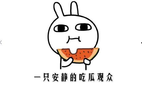 网络吃瓜是意思,揭秘虚拟世界的围观文化