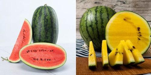 吃瓜q区的瓜能看吗