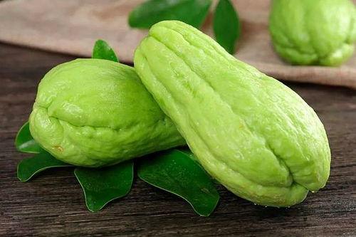 杨瓜尖孕妇可以吃吗,安全与禁忌解析