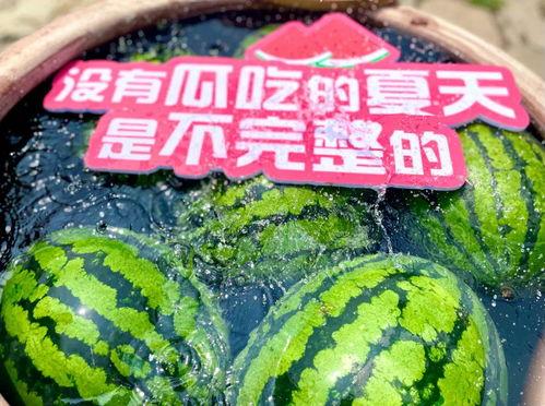 大型吃瓜现场来了,揭秘娱乐圈幕后风云