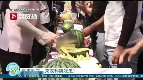 大型吃瓜现场来了,揭秘娱乐圈幕后风云