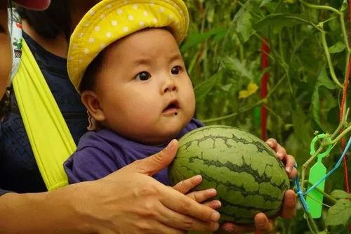 黄妞吃瓜,揭秘娱乐圈幕后故事