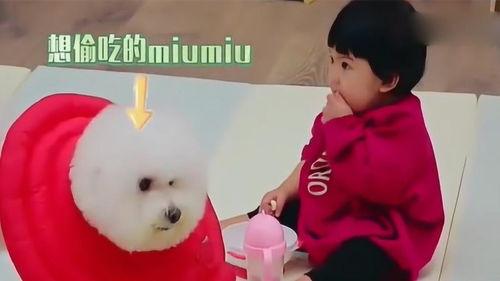 黄妞吃瓜,揭秘娱乐圈幕后故事