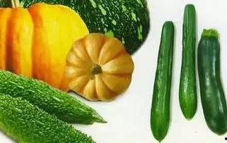 吃瓜老燕子,揭秘娱乐圈背后的故事