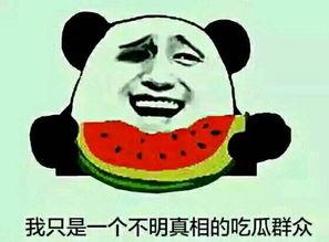 吃瓜热门问题,探寻娱乐圈背后的真相与八卦