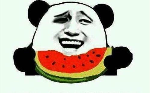 扒瓜吃瓜,揭秘娱乐圈幕后故事