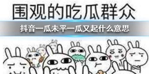 抖音吃瓜聊天,揭秘热门话题背后的真相与笑料