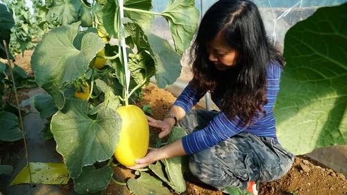 小孩带你吃瓜,畅游甜蜜瓜果世界