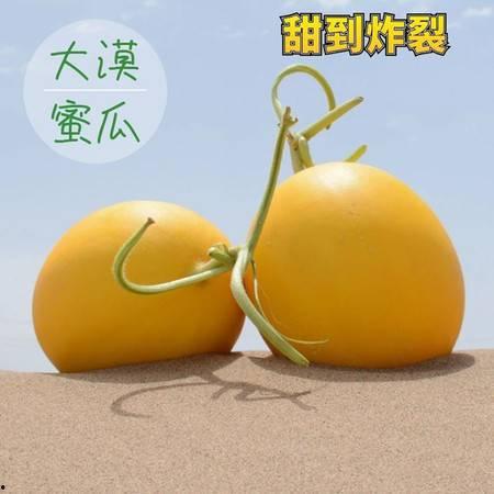 蜜瓜包代吃,品味甜蜜，轻松享受美味新体验