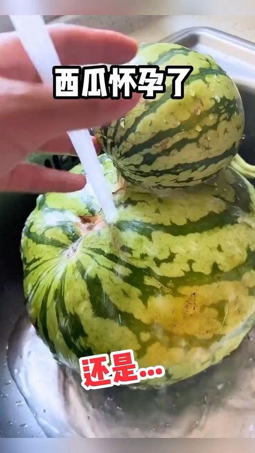 搞笑吃瓜场景视频,网友直呼“太解压”