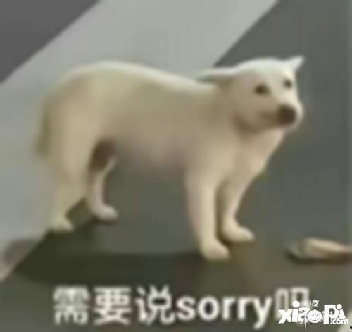 睡不着吃瓜企鹅,揭秘失眠时那群吃瓜企鹅的奇妙世界