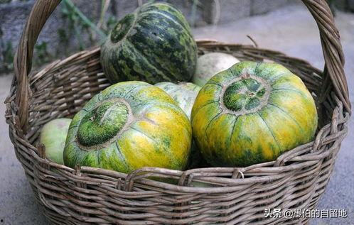 徐州丰县吃瓜事件,揭秘背后真相与争议