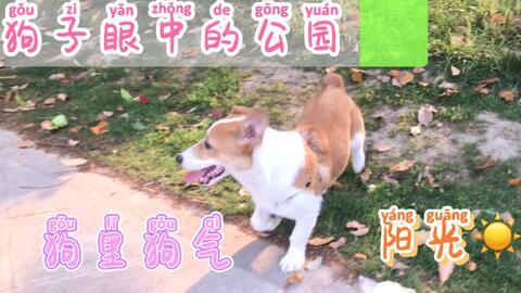 每日吃瓜日常,揭秘娱乐圈幕后故事