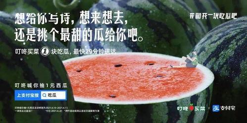 宝宝瓜堆吃瓜文案,萌趣瞬间尽收眼底