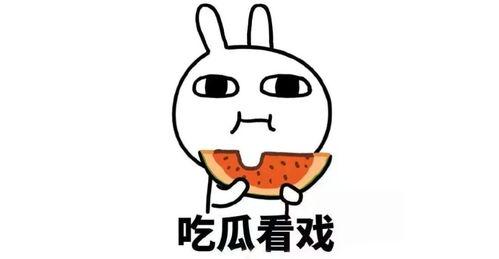 q吃瓜群互换,q吃瓜群里的趣味互换大揭秘