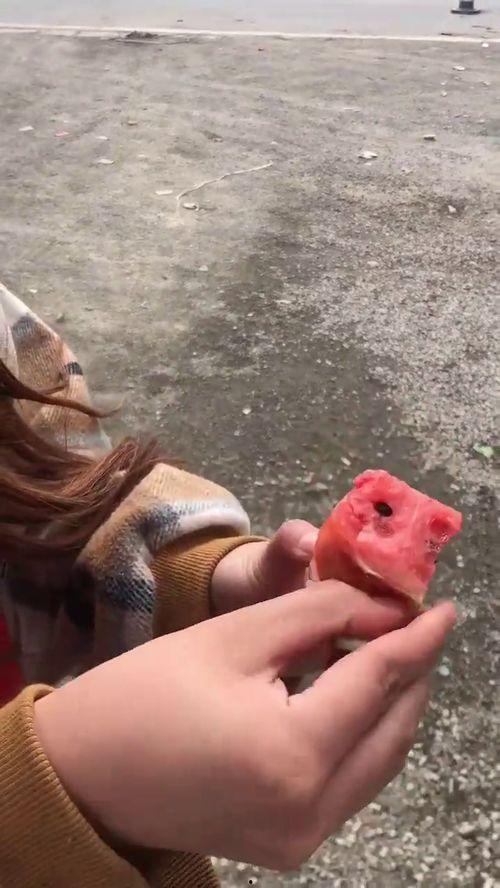 吃瓜剥皮的视频,趣味视频带你领略美食魅力