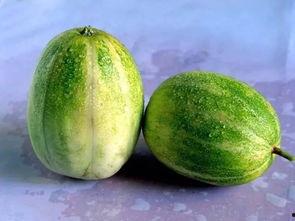 吃利瓜,探寻吃利瓜的独特风味与养生之道