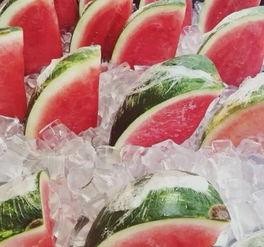 酒店隔着玻璃吃瓜