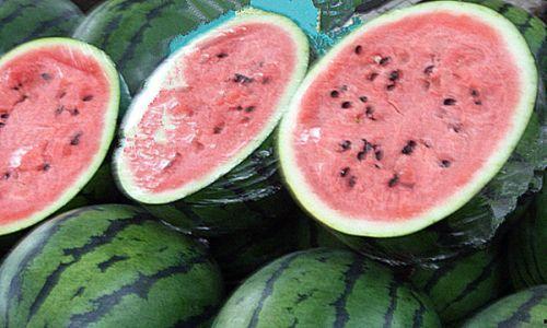 酒店隔着玻璃吃瓜