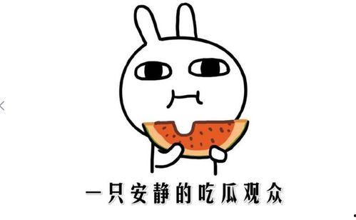 热门事件吃瓜,XX事件背后的真相与争议