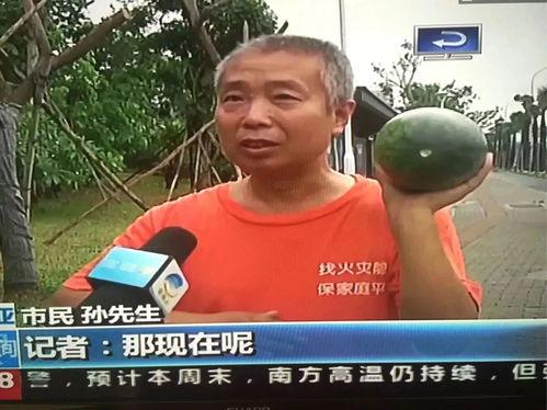 热门事件吃瓜,XX事件背后的真相与争议