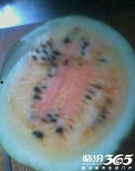 滨河路吃瓜,夏日街头美食盛宴