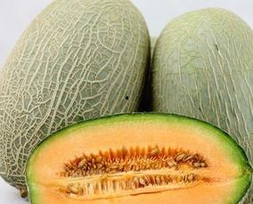 每日吃哈密瓜,哈密瓜的甜蜜日常