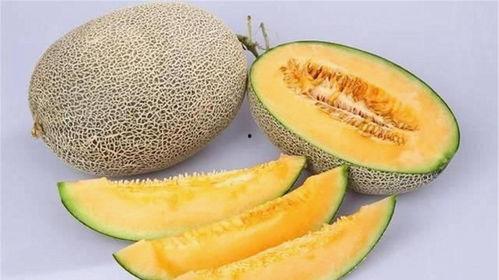 每日吃哈密瓜,哈密瓜的甜蜜日常