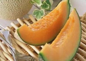 每日吃哈密瓜,哈密瓜的甜蜜日常