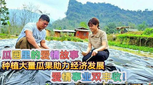 恋爱故事吃瓜,一段甜蜜的恋爱故事揭秘