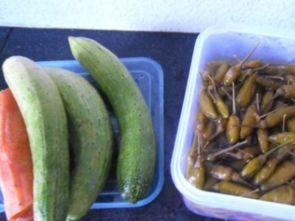 吃泡泡的瓜,甜蜜诱惑，尽享美味时光