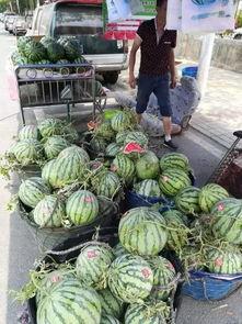 无锡工艺吃瓜事件,一场意外引发的舆论风波