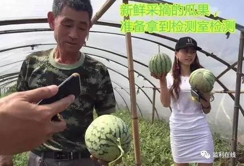 潮阳海门吃瓜直播,吃瓜群众狂欢记