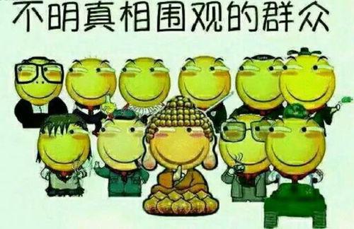 代号柒吃瓜群众,揭秘吃瓜群众的幕后故事