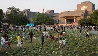 池州学院事件吃瓜,揭秘校园风波背后的真相与反思