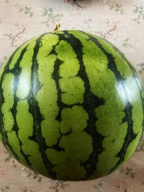 接着吃瓜,揭秘娱乐圈的“接着吃瓜”现象