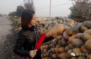 大姐吃朋友瓜,一场关于朋友瓜的美食盛宴