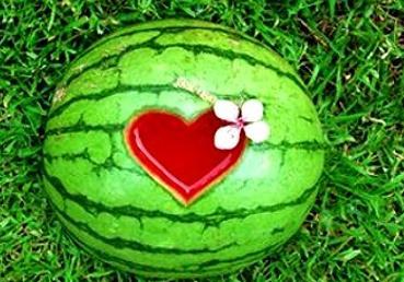 老人梦见吃瓜,揭秘老人梦中吃瓜的神秘寓意