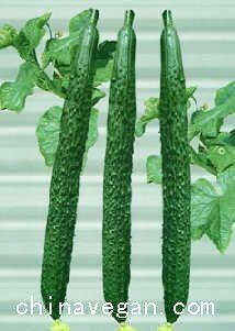 老人梦见吃瓜,揭秘老人梦中吃瓜的神秘寓意 第2张 老人梦见吃瓜,揭秘老人梦中吃瓜的神秘寓意 第2张