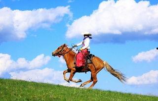 奶龙吃瓜骑马,探寻奇幻世界的悠闲生活  第2张