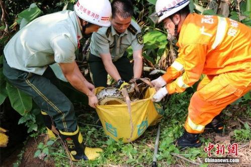 滨州支队消防吃瓜  第2张