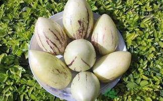 吃茄瓜禁忌,哪些人群不宜食用，如何正确享用美味茄瓜  第3张