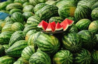 吃瓜的来主页  第2张