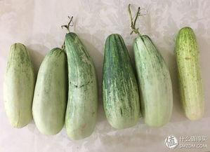 吃瓜群众黄瓜爆料,吃瓜群众黄瓜爆料揭秘娱乐圈幕后真相  第2张