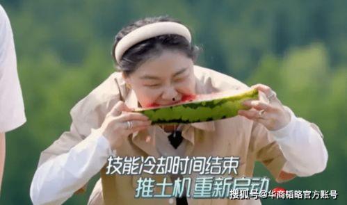 努力吧吃瓜,揭秘娱乐圈背后的真实故事  第2张